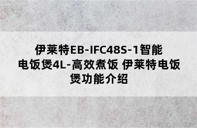 伊莱特EB-IFC48S-1智能电饭煲4L-高效煮饭 伊莱特电饭煲功能介绍